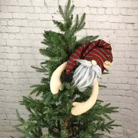 Bingles the Gnome Tree Hugger