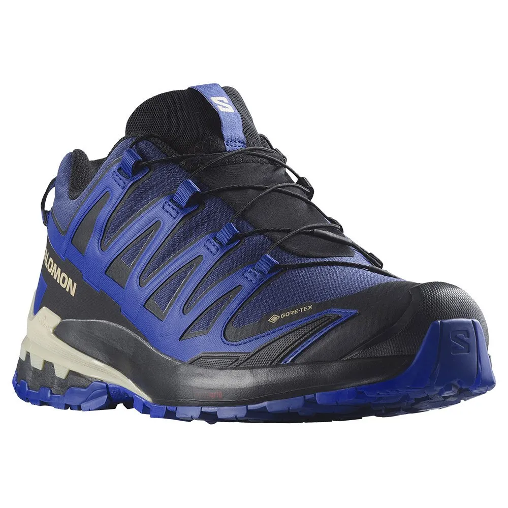 Salomon XA Pro 3D V9 Men's GTX