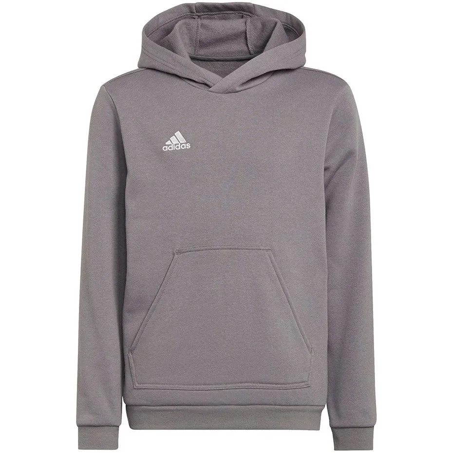 Sweatshirt For Kids Adidas Entrada 22 Hoody Gray H57515 164Cm